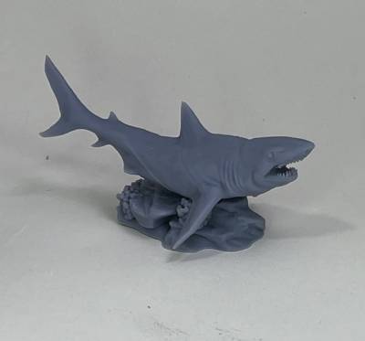 Shark